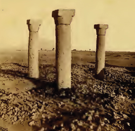Early descriptions of the so-called Cathedral of Sai Oldest-image-of-the-columns-of-sai